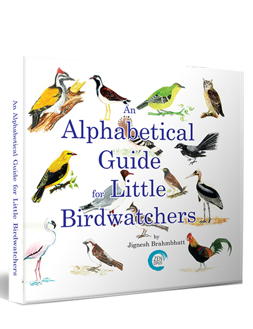 An Alphabetical Guide for Little Birdwatchers
